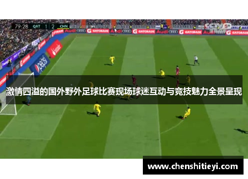 激情四溢的国外野外足球比赛现场球迷互动与竞技魅力全景呈现