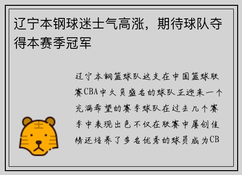 辽宁本钢球迷士气高涨，期待球队夺得本赛季冠军